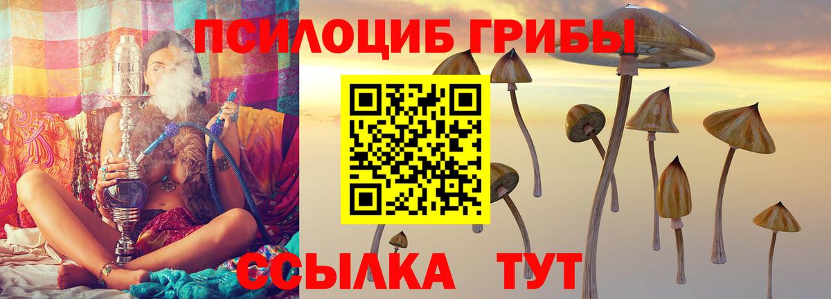 Мурманск  Псилоцибиновые грибы мухоморы  Галлюциногенные грибы GOLDEN TEACHER  Вход с VPN 