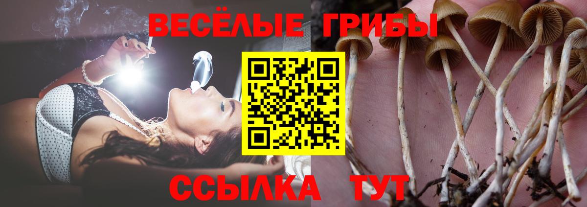 Галлюциногенные грибы MAGIC MUSHROOMS Мурманск